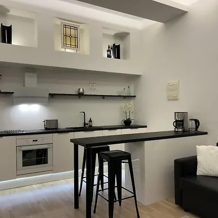 Stylish With Sauna In Old Town *