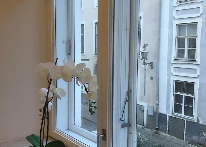 Stylish With Sauna In Old Town * Tallinn